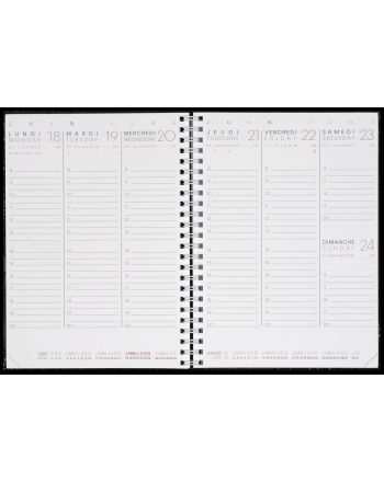 Calendar year planners Weekly Gold edge